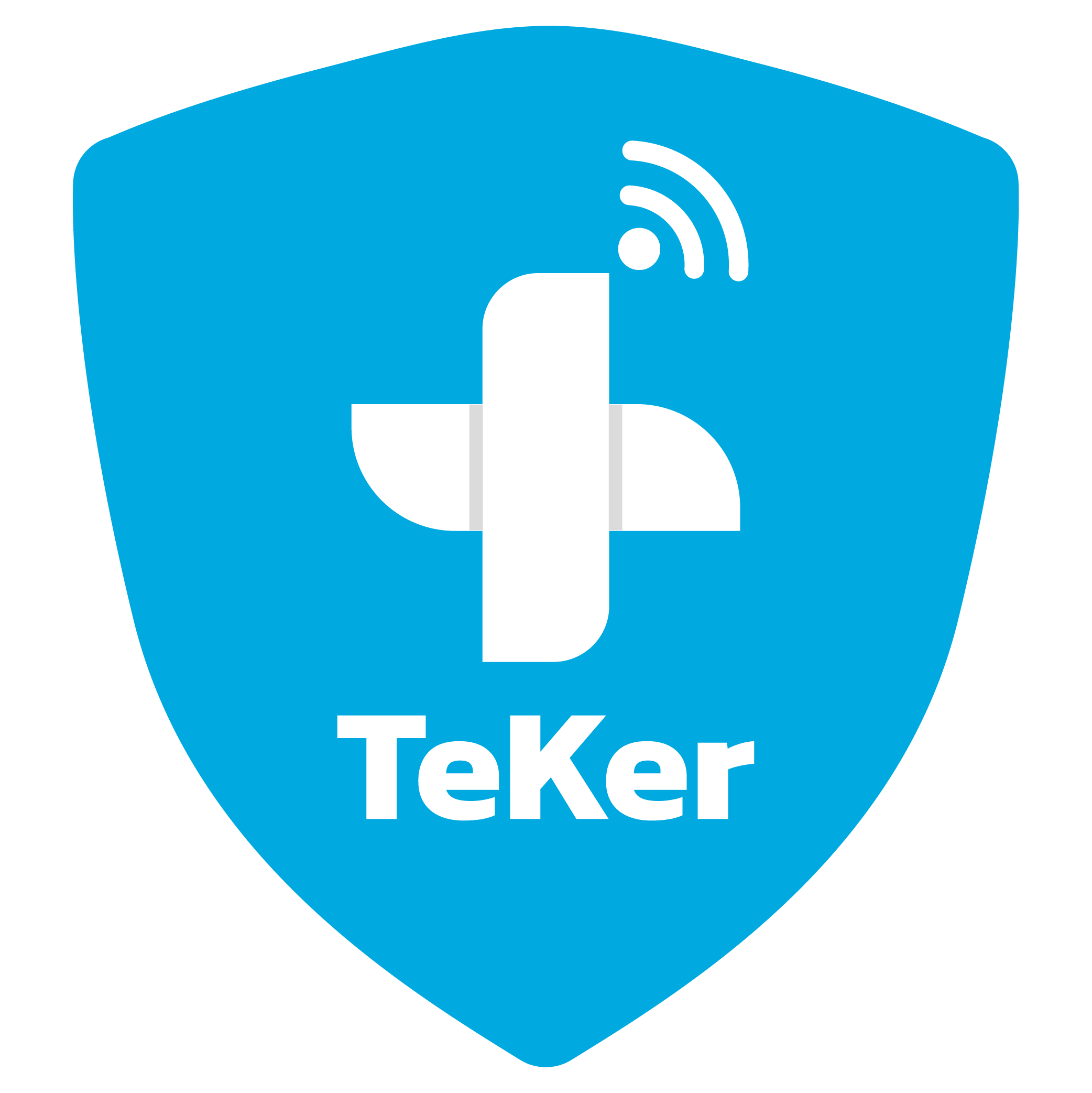 11. Logo Teker